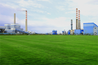 NLC����(�й�)����